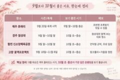 핑크뮬리 개화시기 2026, 9월보다 10월이 좋은 이유?