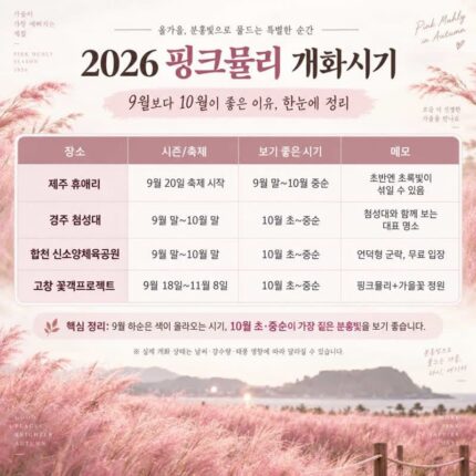 핑크뮬리 개화시기 2026, 9월보다 10월이 좋은 이유?