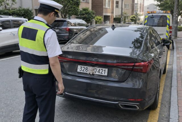 “단속 걸려서 전과자” 운전자들, 주차 때문에 대참사!