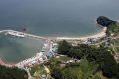 충남 채석포항 축제, 바다와 억새의 만남