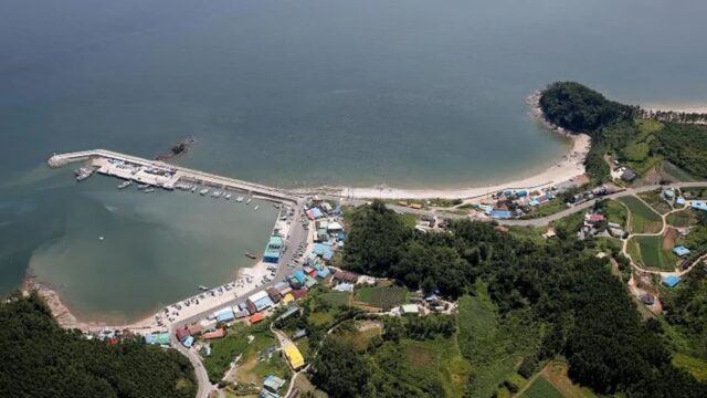 충남 채석포항 축제, 바다와 억새의 만남