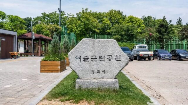 경기 여술근린공원 가볼만한곳, 억새 풍경과 자연 여행
