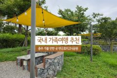 국내 가족여행 추천 충주 가볼 만한 곳 탄금호 피크닉공원