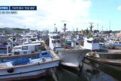 700억 들였다는 여수 세계섬박람회 근황.jpg