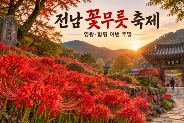 꽃무릇 축제 레전드 모음, 이번 주 전남 여행지 발칵 뒤집힙니다