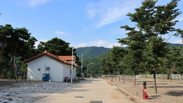 “진짜 감동! 솔향기 따라 991m 달린다고?”… 청량한 공기 가득한 초록여울 캠핑 코스