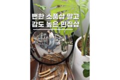 서울소품샵투어 패스비 EXIT6 general store 용산놀거리