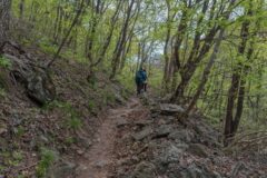 점봉산 등산코스 추천 BEST 6, 자연을 마주하는 여행 명소 안내