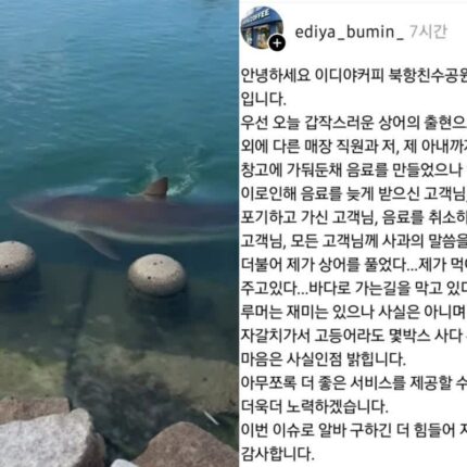 “조심하라고 문자 보냈더니 더 몰렸다” 상어 출몰로 핫플된 부산 북항 뜻밖의 수혜자들