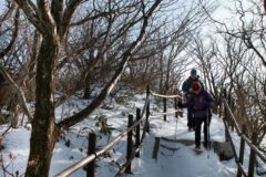 덕유산 등산코스 추천, 2026년 가을 산행을 위한 베스트 5곳
