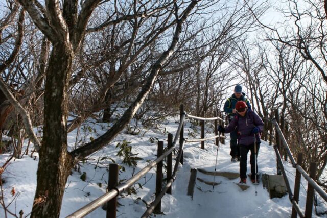 덕유산 등산코스 추천, 2026년 가을 산행을 위한 베스트 5곳
