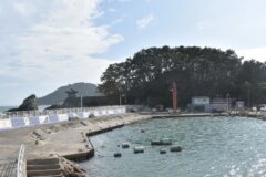 부산 죽도공원 억새 축제, 가을 자연의 향연