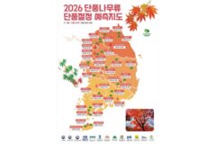 붉은 단풍과 노란 은행, 2026년 한반도 가을 단풍 절정 시기는?