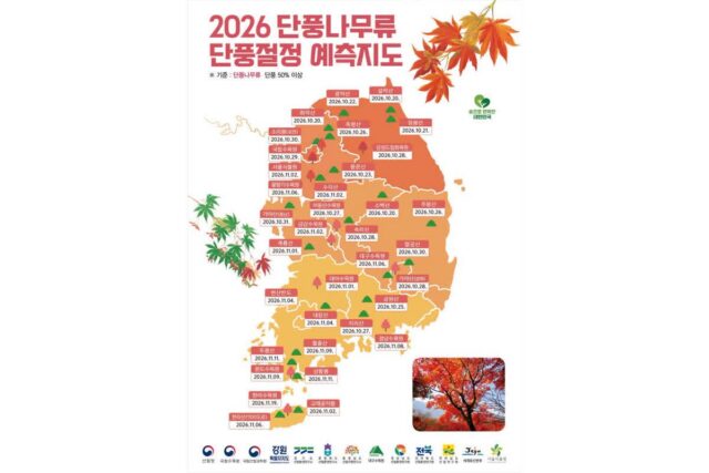 붉은 단풍과 노란 은행, 2026년 한반도 가을 단풍 절정 시기는?
