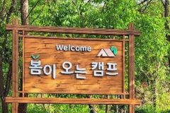 “서울에서 딱 40km밖에 떨어지지 않았다니?”… 자연 속 그늘막 캠핑 명소