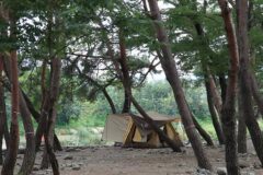 “이렇게 자연과 하나될 수 있다니!”… 5,000㎡의 대포숲캠핑장 명소