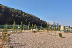 경기 파주 성수캠핑장, 서울 근교 자연 캠핑 추천지