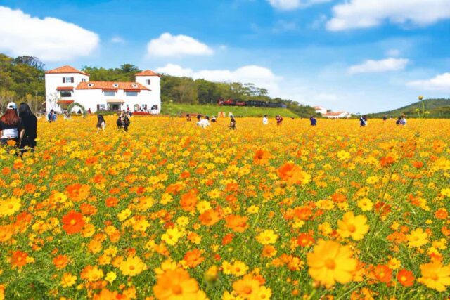 추석 연휴 에코랜드 숲잔치 주요 프로그램 총정리
