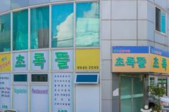 “도심 속 이런 자연이 있다고?”… 약 2000㎡ 초록빛 평온함의 여행지