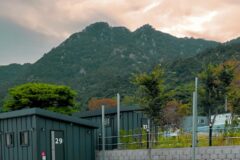 “해발 381m 용봉산의 진정한 힐링을 경험한다고?”… 자동차로 2시간 만에 닿는 평화로운 명소