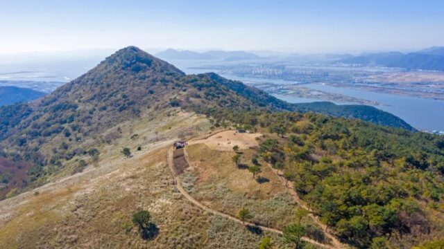 부산 승학산 카페 여행, 억새와 자연 속 힐링