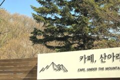 “서울에서 이런 자연을 느껴본 적 있나요?”… 북쪽 5km 산자락 아래의 힐링 명소