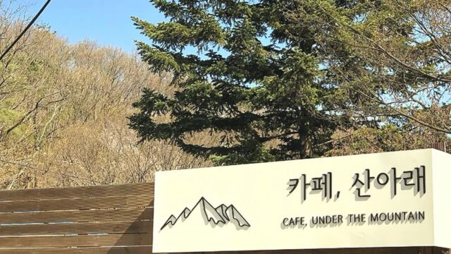 “서울에서 이런 자연을 느껴본 적 있나요?”… 북쪽 5km 산자락 아래의 힐링 명소
