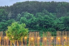 “진짜 자연 속에 파묻혀 봤어요”… 경주 30km 거리 하이스토리 캠핑 명소