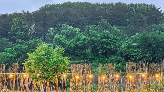 “진짜 자연 속에 파묻혀 봤어요”… 경주 30km 거리 하이스토리 캠핑 명소