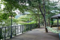 “도심에서 40km 떨어진 이런 자연 명소를 봤어요”… 별자리 가득한 힐링 여행지