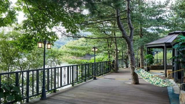 “도심에서 40km 떨어진 이런 자연 명소를 봤어요”… 별자리 가득한 힐링 여행지