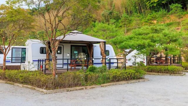 “메타세쿼이아 가로수길이 이렇게 붉게 물들었어요”… 1km 걸으며 자연과 하나되는 여행지