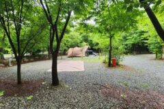 “한국의 알프스가 무료로 개방된다고?”… 100헥타르 규모의 절경 여행지