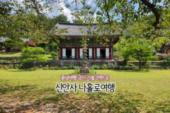 충남 금산 가볼 만한 곳 나 홀로 여행 예쁜 신안사