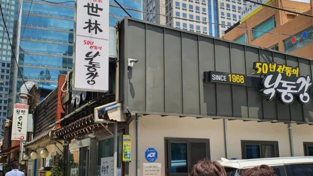 “서울 도심에 이렇게 평화로운 곳이?”… 525km 낙동강 따라 힐링 명소
