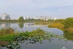 경기 만석거공원 축제, 자연과 문화 어우러진 가을 명소