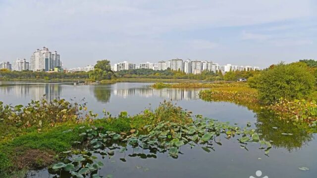 경기 만석거공원 축제, 자연과 문화 어우러진 가을 명소