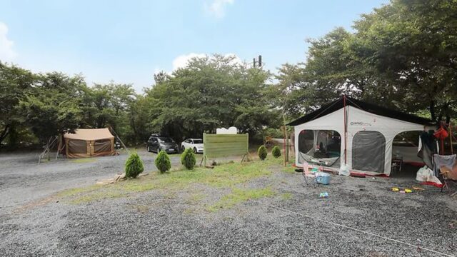 “5,000㎡ 자연에 진짜 힐링이 가능하다고?”… 상쾌한 공기와 함께하는 가족 캠핑 명소