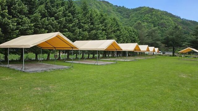 “이렇게 넓은 10,000㎡에 그늘이 진짜 많아요”… 자연 속 불교 체험 명소