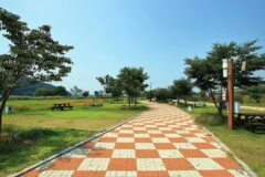 “20,000평 규모로 펼쳐진 캠핑장이 이렇게 좋다니”… 별빛 내려앉는 청양 웰니스 여행지