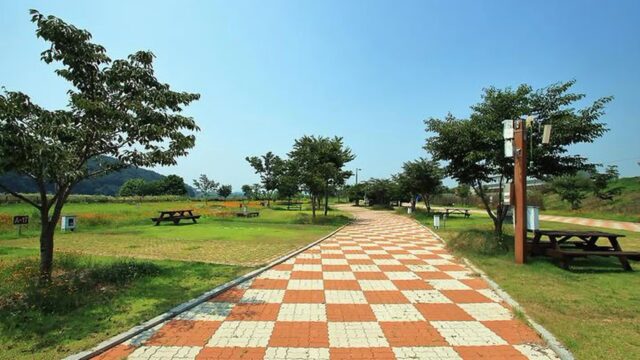 “20,000평 규모로 펼쳐진 캠핑장이 이렇게 좋다니”… 별빛 내려앉는 청양 웰니스 여행지