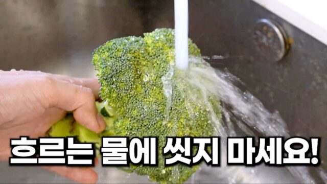 브로콜리 그냥 씻으면 안돼요! 대부분 잘 모르는 깨끗이 씻는 방법