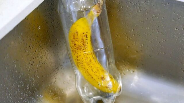 바나나를 페트병에 넣으면 여름철 골칫거리가 쉽게 사라집니다
