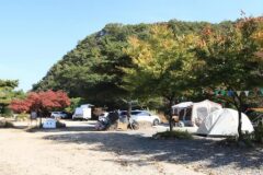 “약 2만 평 자연 그대로 보존됐다니…” 경기도 평화로운 명소 에브라임캠핑장