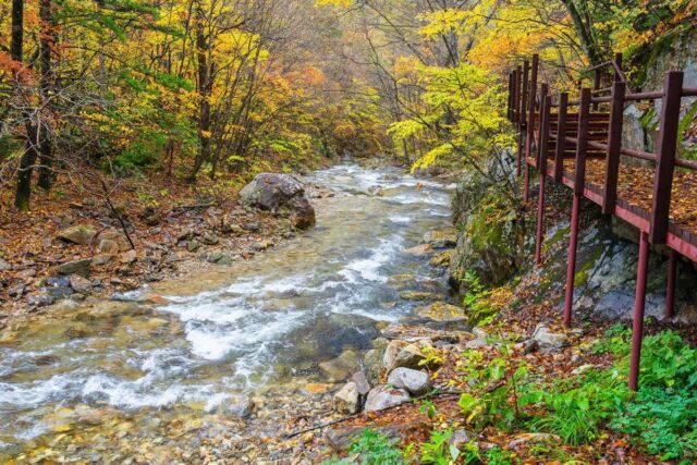 평창 크리스마스 데이트 추천 5곳: 연인과 함께 가볼만한 명소