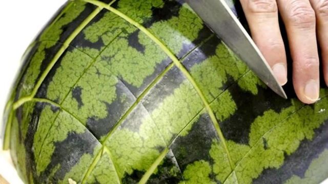 새로운 수박 자르는법! 이제 ‘이렇게’ 잘라 드세요 가장 편하고 쉽습니다