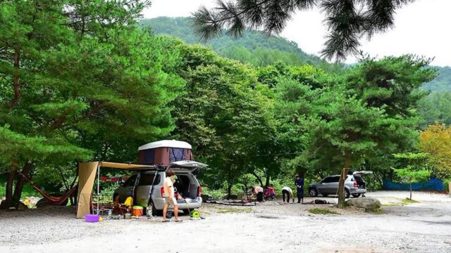 “도심에서는 보기 힘들다니…” 별빛 쏟아지는 포천계곡캠핑장 여행지