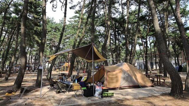 전북 고사포야영장 축제, 사계절 매력 캠핑 체험
