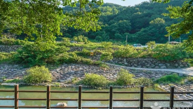 경북 미천공원 축제, 가을 여행지로 힐링 추천