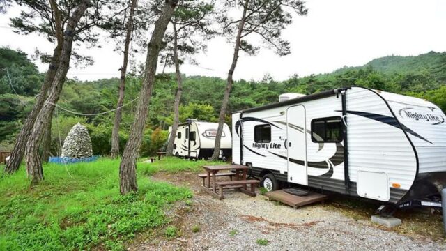“밤하늘에 별빛이 진짜 이렇게 많다고?”… 5000평 산속 캠핑할 수 있는 자연애 품 여행지